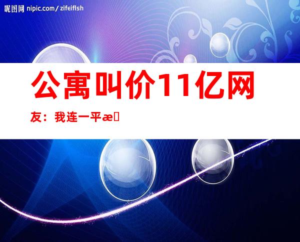 公寓叫价1.1亿 网友：我连一平方米都买不起