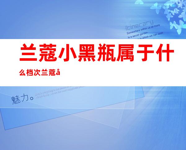 兰蔻小黑瓶属于什么档次 兰蔻小黑瓶是哪个国家的品牌