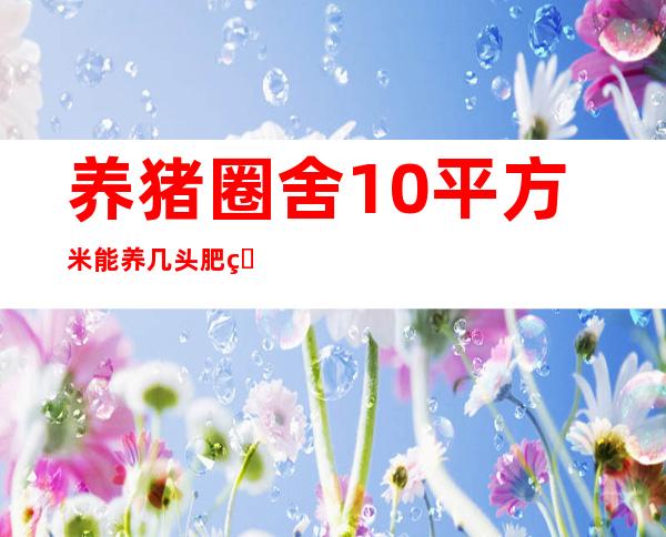 养猪圈舍10平方米能养几头肥猪（养猪圈舍如何建设图片）