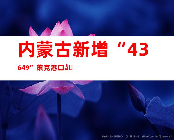 内蒙古新增“43+649” 策克港口入进姑且静默状况