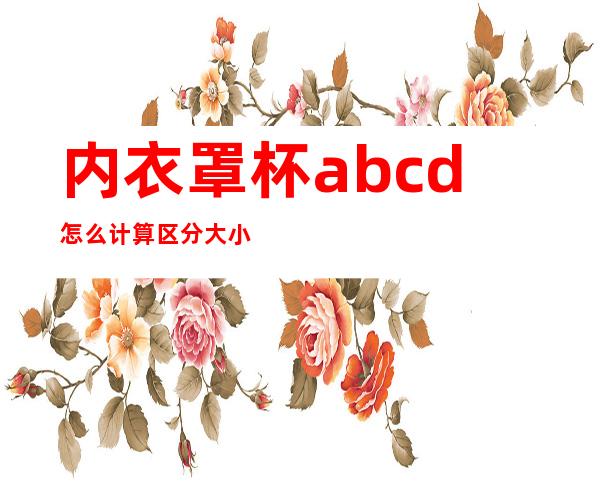 内衣罩杯abcd怎么计算区分大小(ABCDEFG是多大图片)