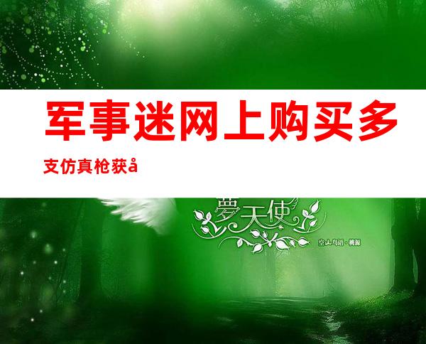 军事迷网上购买多支仿真枪获刑3年