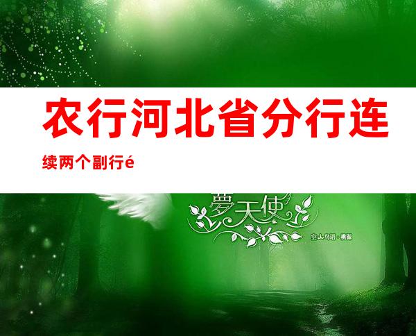 农行河北省分行连续两个副行长被查！