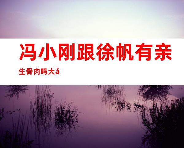 冯小刚跟徐帆有亲生骨肉吗 大家都怀疑是徐帆不能生