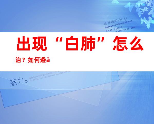 出现“白肺”怎么治？如何避免新冠感染出现肺炎？解答来了