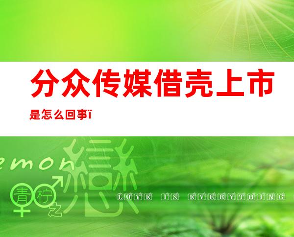 分众传媒借壳上市是怎么回事，分众传媒是一家什么样的公司？