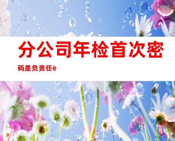 分公司年检首次密码是负责任身份证号吗（分公司年检材料要提供利润表吗?）