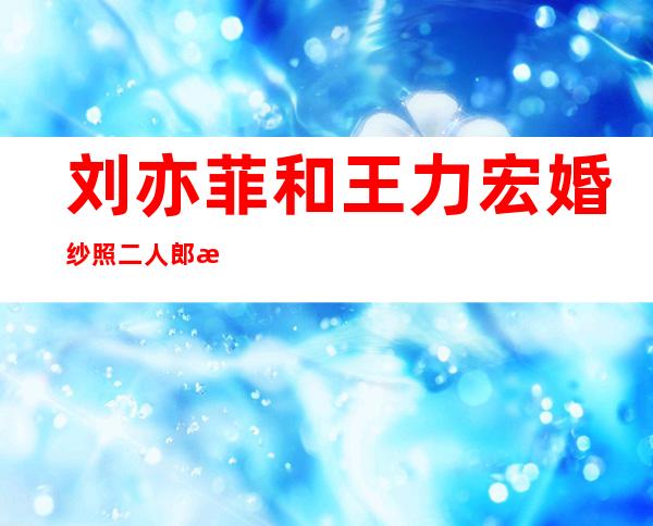 刘亦菲和王力宏婚纱照 二人郎才女貌宛若神仙眷侣