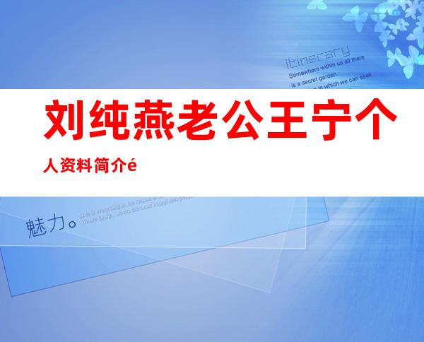 刘纯燕老公王宁个人资料简介 金龟子的第二任丈夫有吗