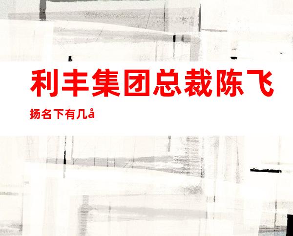 利丰集团总裁陈飞扬名下有几家公司（利丰集团总裁陈飞扬是做什么的）