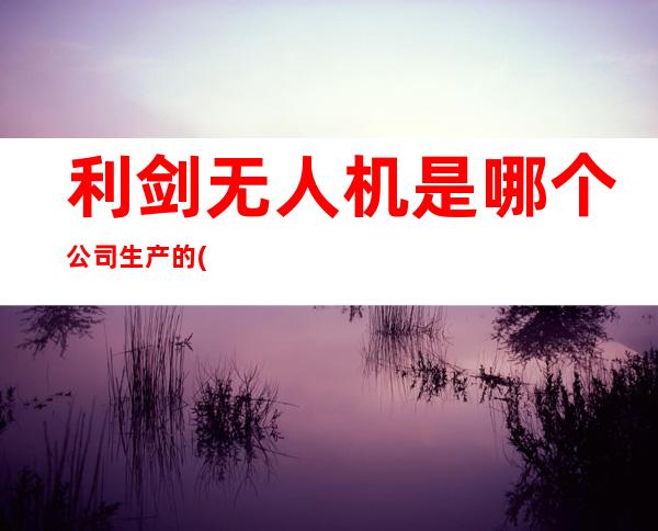 利剑无人机是哪个公司生产的(利剑无人机怎么没消息了)