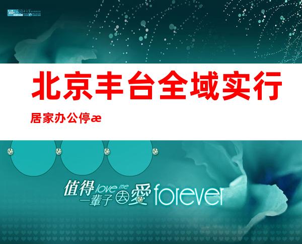 北京丰台全域实行居家办公 停止一切非必要流动