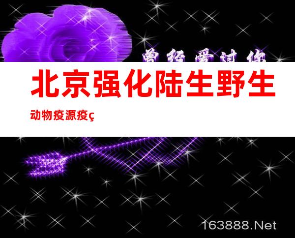 北京强化陆生野生动物疫源疫病监测 守护候鸟归家路