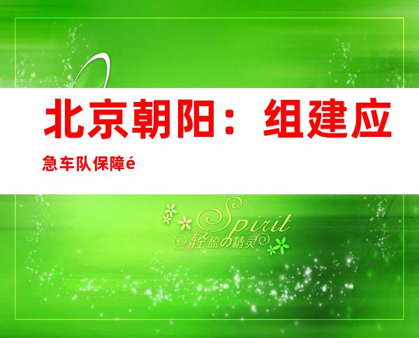 北京朝阳：组建应急车队 保障重点区域居民就医