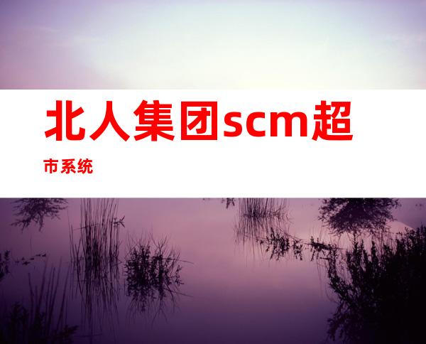 北人集团scm超市系统