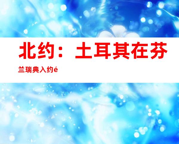 北约：土耳其在芬兰瑞典入约问题上的安全关切合理