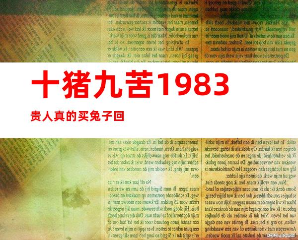 十猪九苦1983贵人真的买兔子回来养（十猪九苦1983年属猪人三大坎）