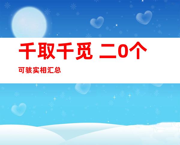 千取千觅 二0个可骇 实相汇总