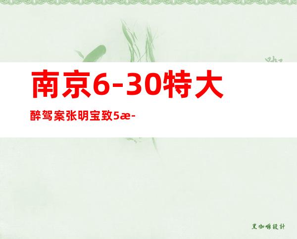 南京6-30特大醉驾案张明宝致5死4伤一审判无期