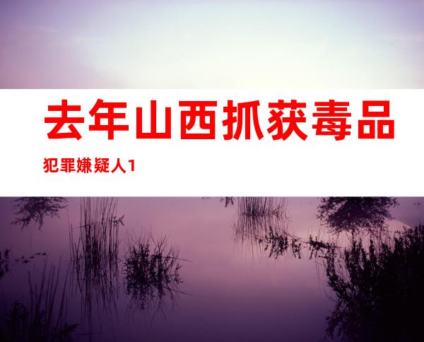 去年山西抓获毒品犯罪嫌疑人1259名 缴毒51.84公斤