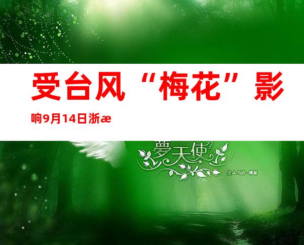 受台风“梅花”影响 9月14日浙江宁波全市停课一天