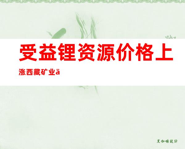 受益锂资源价格上涨 西藏矿业上半年净利增逾10倍