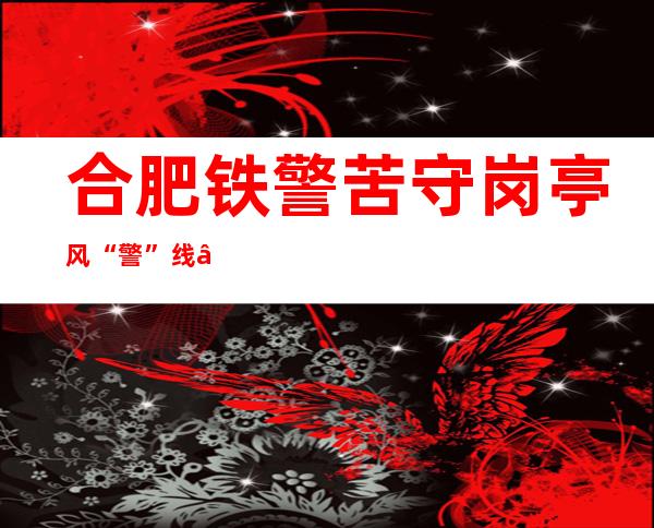 合肥铁警苦守岗亭风“警”线 “百日举措”破获刑事案件203起