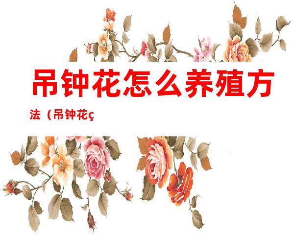 吊钟花怎么养殖方法（吊钟花的寓意和花语）