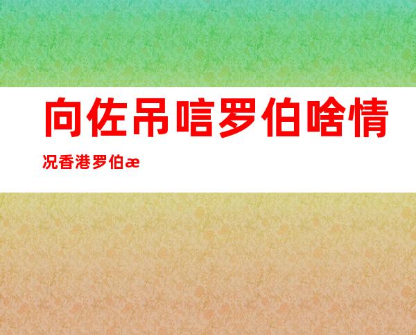 向佐吊唁罗伯啥情况香港罗伯是谁为何去世