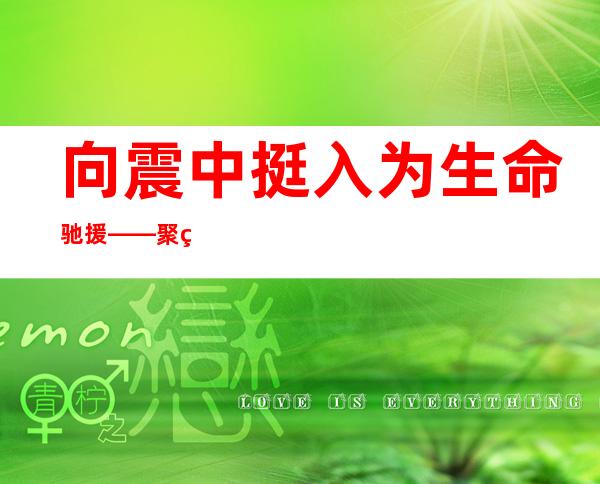 向震中挺入 为生命驰援——聚焦泸定县6.8级地动应抢救援