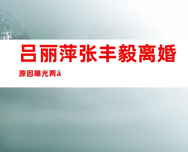 吕丽萍张丰毅离婚原因曝光 两人儿子童年过的很苦（吕丽萍张丰毅什么时候结婚）