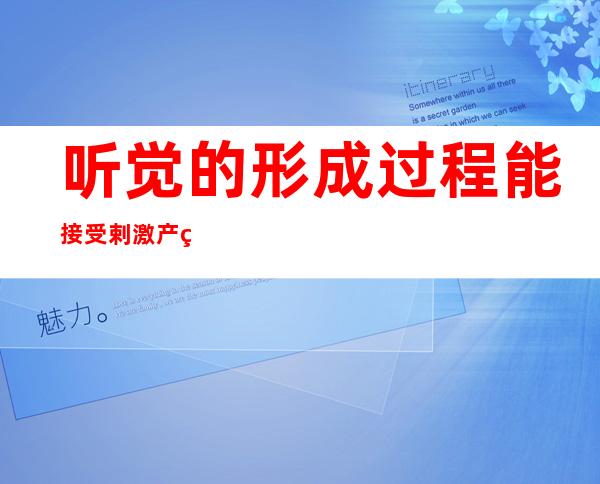 听觉的形成过程能接受剌激产生神经冲动的结构是什么（听觉的形成过程七年级下册）