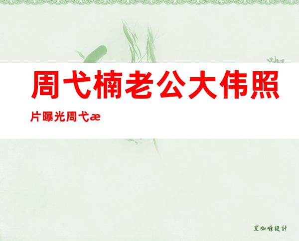 周弋楠老公大伟照片曝光周弋楠和赵本山上过床吗？