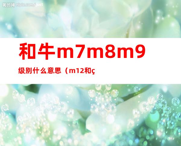 和牛m7m8m9级别什么意思（m12和牛肉多少钱一斤）