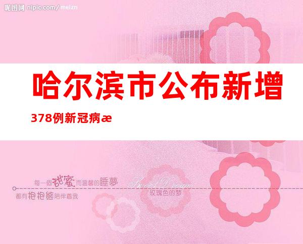 哈尔滨市公布新增378例新冠病毒阳性感染者信息及活动轨迹