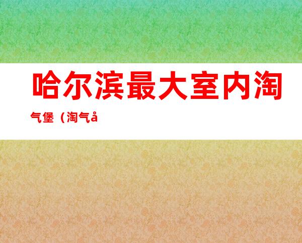 哈尔滨最大室内淘气堡（淘气堡投资需要多少钱）