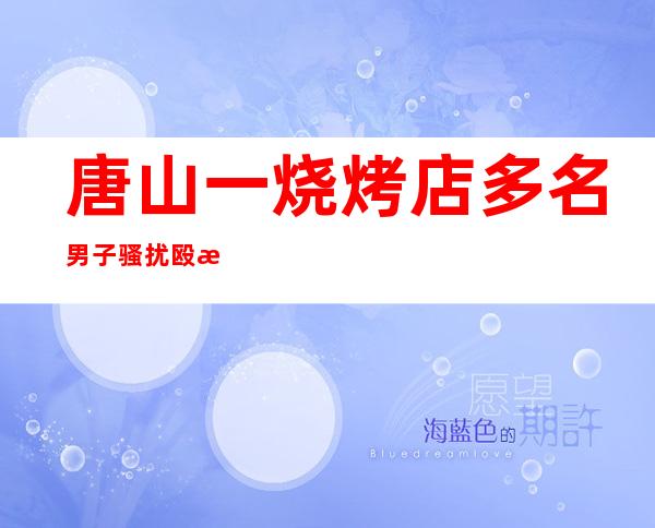 唐山一烧烤店多名男子骚扰殴打女性：警方已立案，妇联正跟进