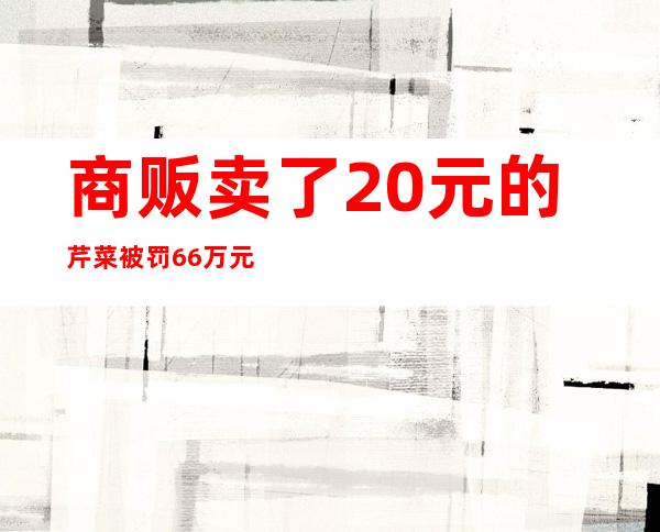 商贩卖了20元的芹菜被罚6.6万元！国务院督查组出手，发现类似的处罚还不少