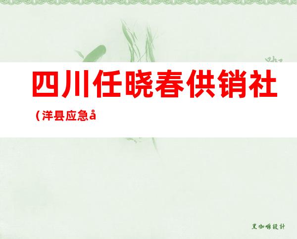 四川任晓春供销社（洋县应急局任晓春）