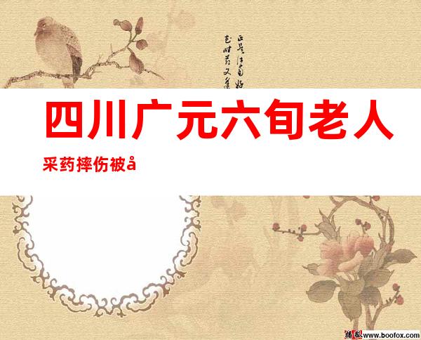 四川广元六旬老人采药摔伤被困深山 警民合力成功救出