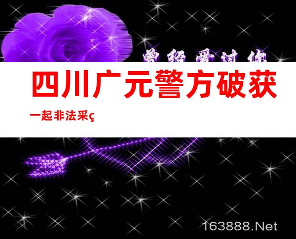 四川广元警方破获一起非法采矿案 24人落网