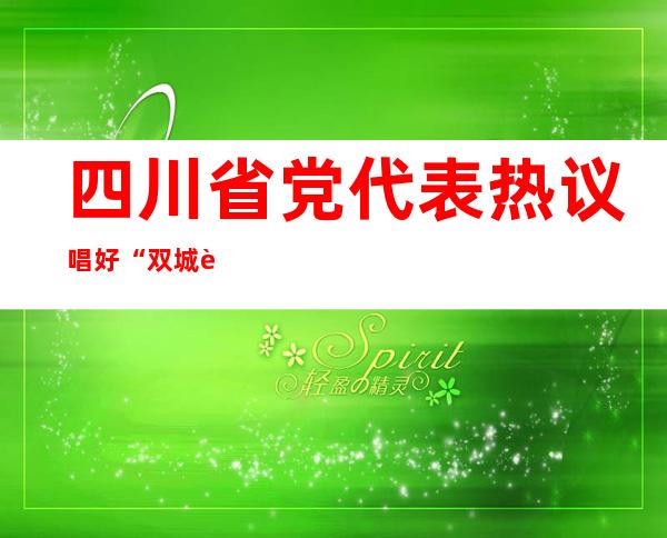 四川省党代表热议唱好“双城记”、共建“经济圈”