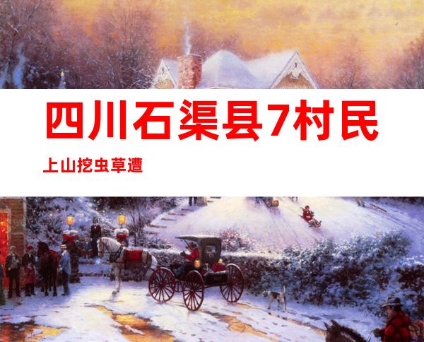 四川石渠县7村民上山挖虫草遭雷击身亡 县政府：正调查