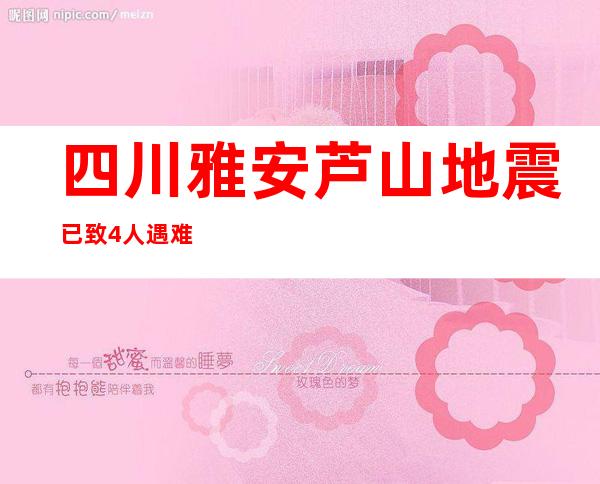 四川雅安芦山地震已致4人遇难41人受伤 13000余人受灾