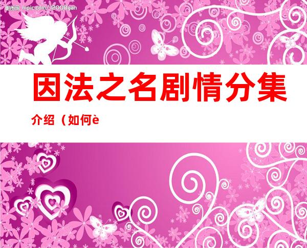 因法之名剧情分集介绍（如何评价由李幼斌、李小冉、张丰毅主演的电视剧《因法之名》）