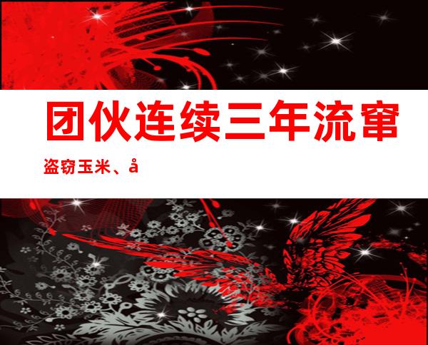 团伙连续三年流窜盗窃玉米、农具 车头“出入平安”对联露马脚