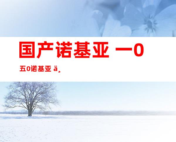 国产诺基亚 一0 五0 诺基亚 一0 五0根本 参数？