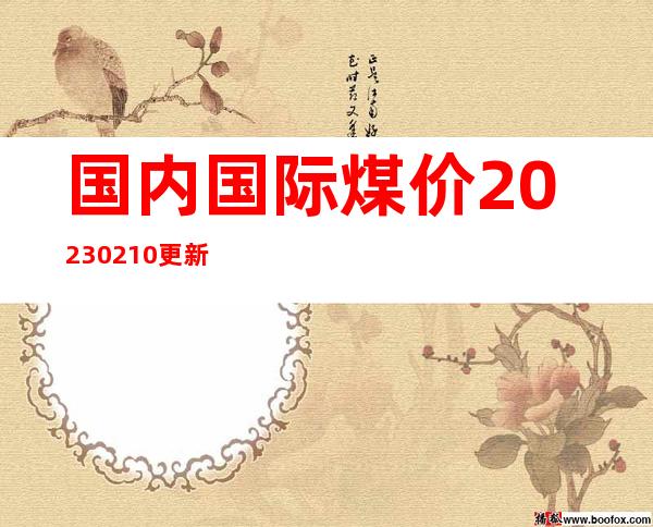 国内国际煤价20230210更新