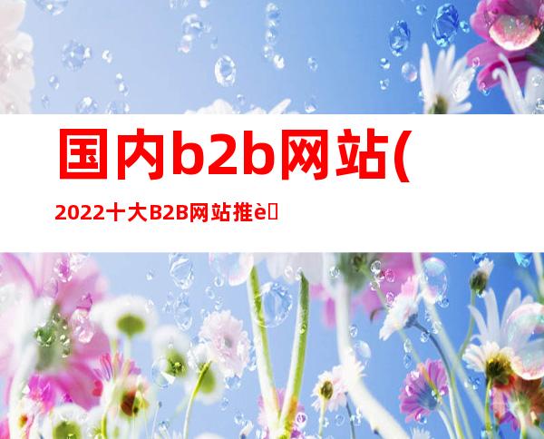 国内b2b网站(2022十大B2B网站推荐)