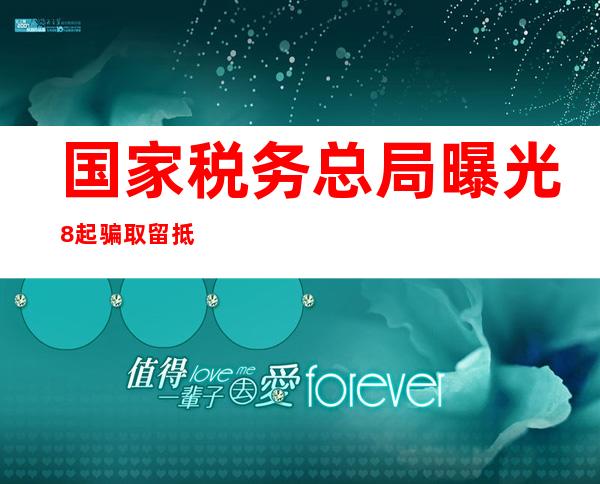 国家税务总局曝光8起骗取留抵退税案件